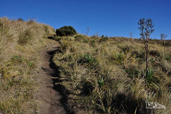 Trilha na parte alta do Parque Nacional da Serra dos Órgãos, no Rio de Janeiro, a caminho do Castelo do Açu